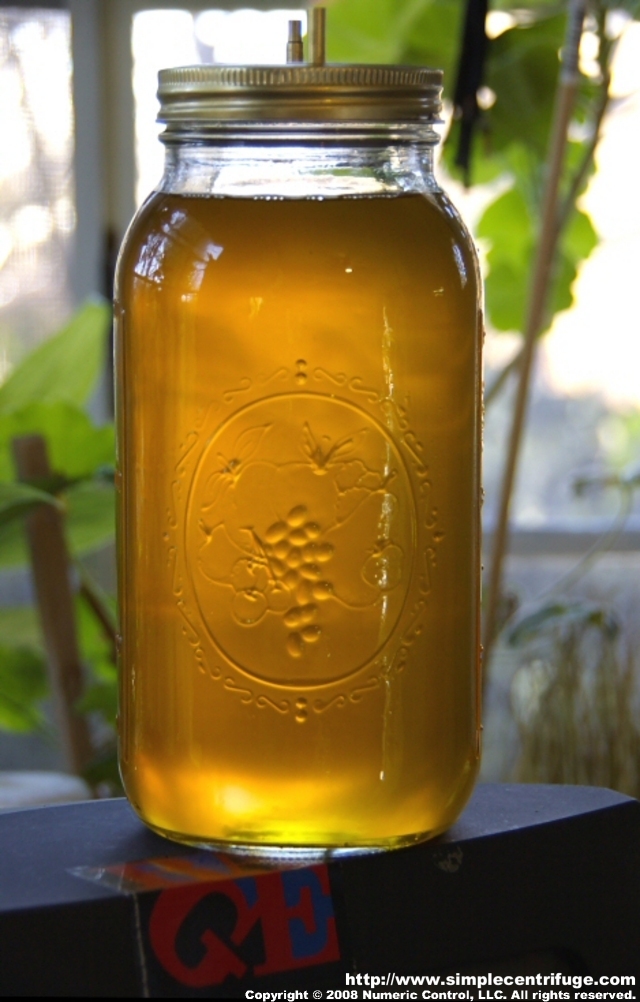 Biodiesel prior to being centrifuged.