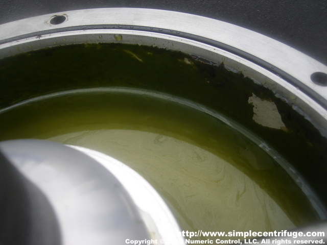 Even after just two hours you can see the algae cake forming. This algae concentration is very light in the pool water compared to the earlier test.