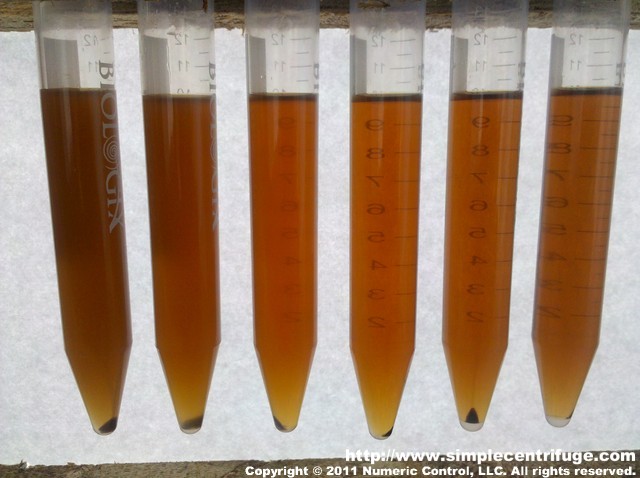 These are the first six samples. Each have been centrifuged for the same time in the lab centrifuge. Samples start left to right, with the left most sample being heated for only 1 hour. The three samples on the right all appear equally clear.