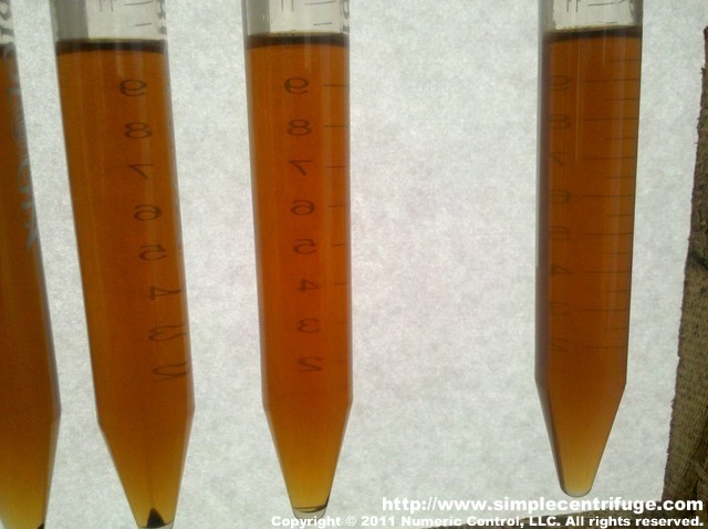 The samples on the left have all been centrifuged. The sample on the right is clear having just been drawn from the heater. It will be centrifuged next.