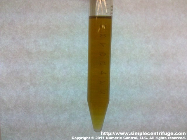 This is a sample before centrifuging. Instantly I can tell this is much better than before. It is crystal clear and lighter in color than the earlier batch.