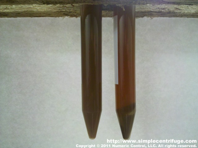 After 30 minutes in the lab centrifuge you can now see through the sample although it's hard to tell from the photo.