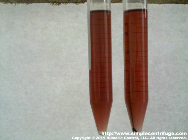 Control sample on the left, centrifuged for 5 minutes on the right.