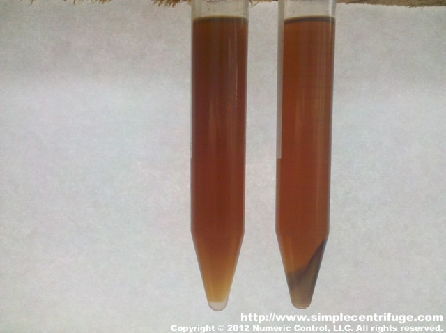 The samples were shaken to mix everything up that had settled during shipping. This is sample 2 after 5 minutes in the centrifuge. Control on the left. Centrifuged on the right.