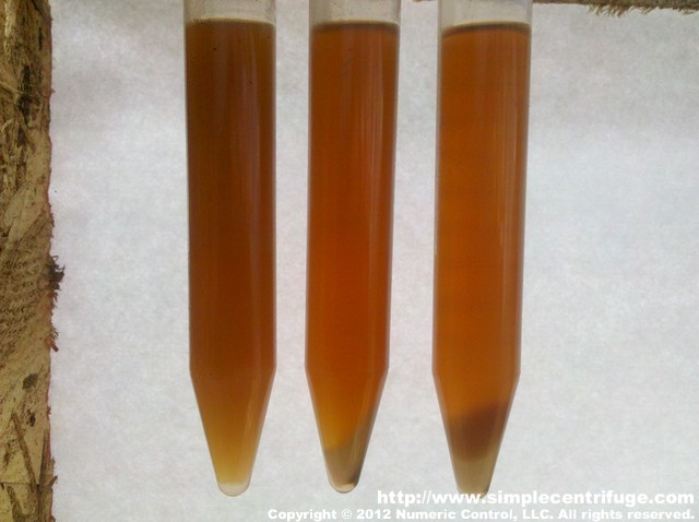 Sample group 1. Control, 5 minute, 30 minute side by side. 