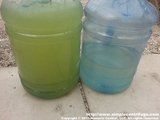 Another customer wrote: Got the centrifuge and we're processing algae!  I've attached the
first jug processed so you can see the difference between what goes in and what comes out.