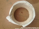 The filter material and corn starch removed fairly cleanly from the rotor with minimal damage to the cake.
