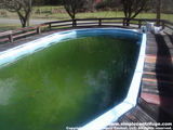 This is the pool. It look like it has a lot of algae. After this picture I did sweep the pool walls and bottom to get the algae mixed up.