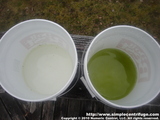 This photos shows the original pool water along side the concentrated solution that drained from the machine.