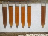 This is a collection of random samples that have rested for a few days. All but the left most sample is clear. The sample apart to the far right was heated to 350F degrees and settled for a couple days before being centrifuge. Note how much less particulate is present in the sample.