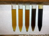 These are the samples side by side. Starting on the left is the previous sample centrifuged. Next is a sample Gary sent me that has been settled for 2 years. Yesterday's sample centrifuged, then the same batch not centrifuged. And finally the source oil, unprocessed.