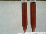 Control sample on the left, centrifuged for 5 minutes on the right.