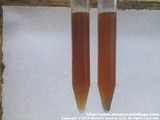 The samples were shaken to mix everything up that had settled during shipping. This is sample 1 after 5 minutes in the centrifuge. Control on the left. Centrifuged on the right.