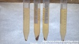Cinnamon Metheglin (labeled as mead) on the left. Left most sample was at rest and second from the left was shaken. Right most Cyser at rest and second from the right was shaken. Samples were centrifuged for 5 minutes.